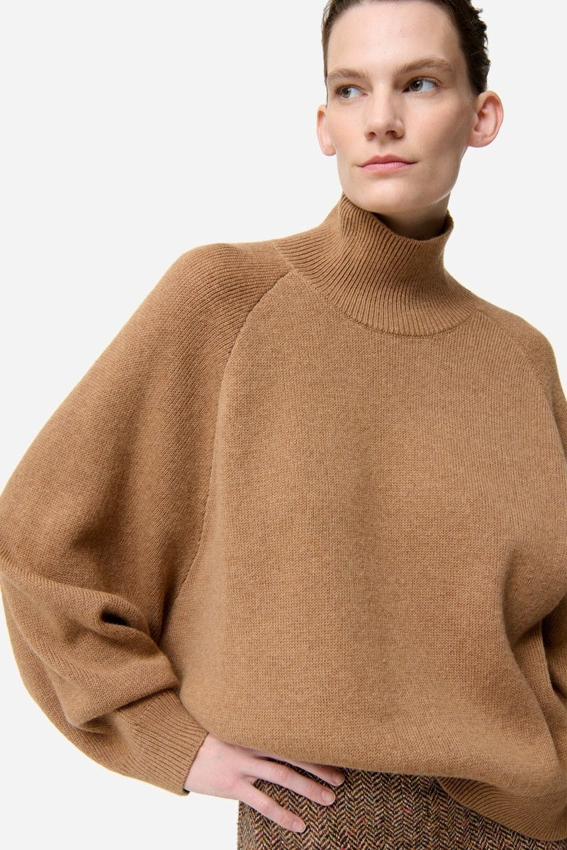 Person wearing a brown turtleneck sweater on a white background