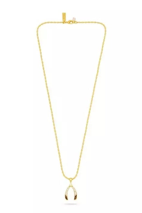 Wishbone Tiger's Eye Pendant Necklace