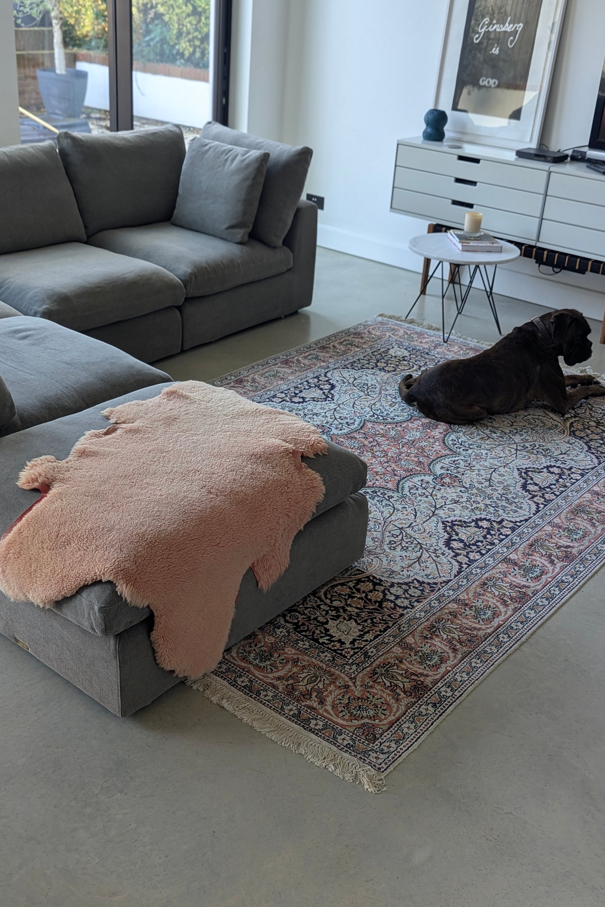 Living room with gray sofa, patterned rug, and dog lying on rug.