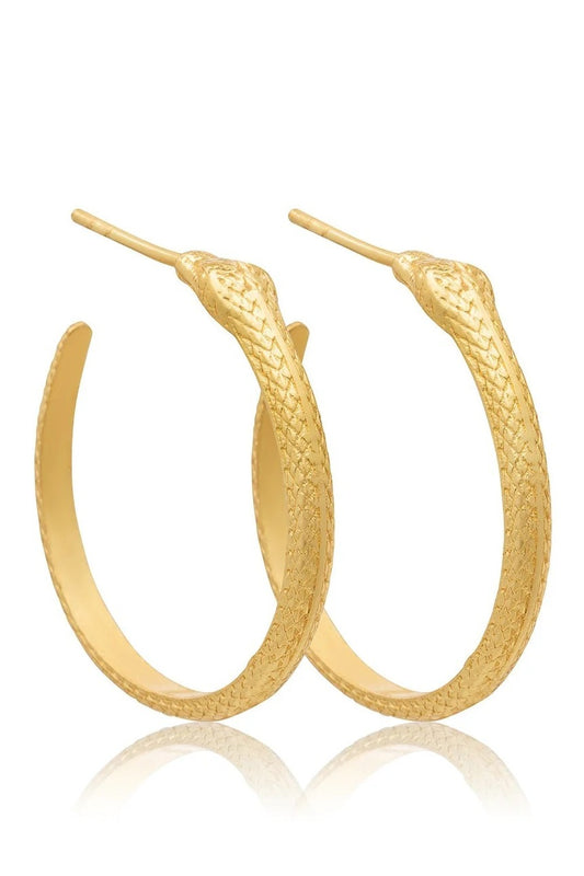 Gold hoop earrings on a white background
