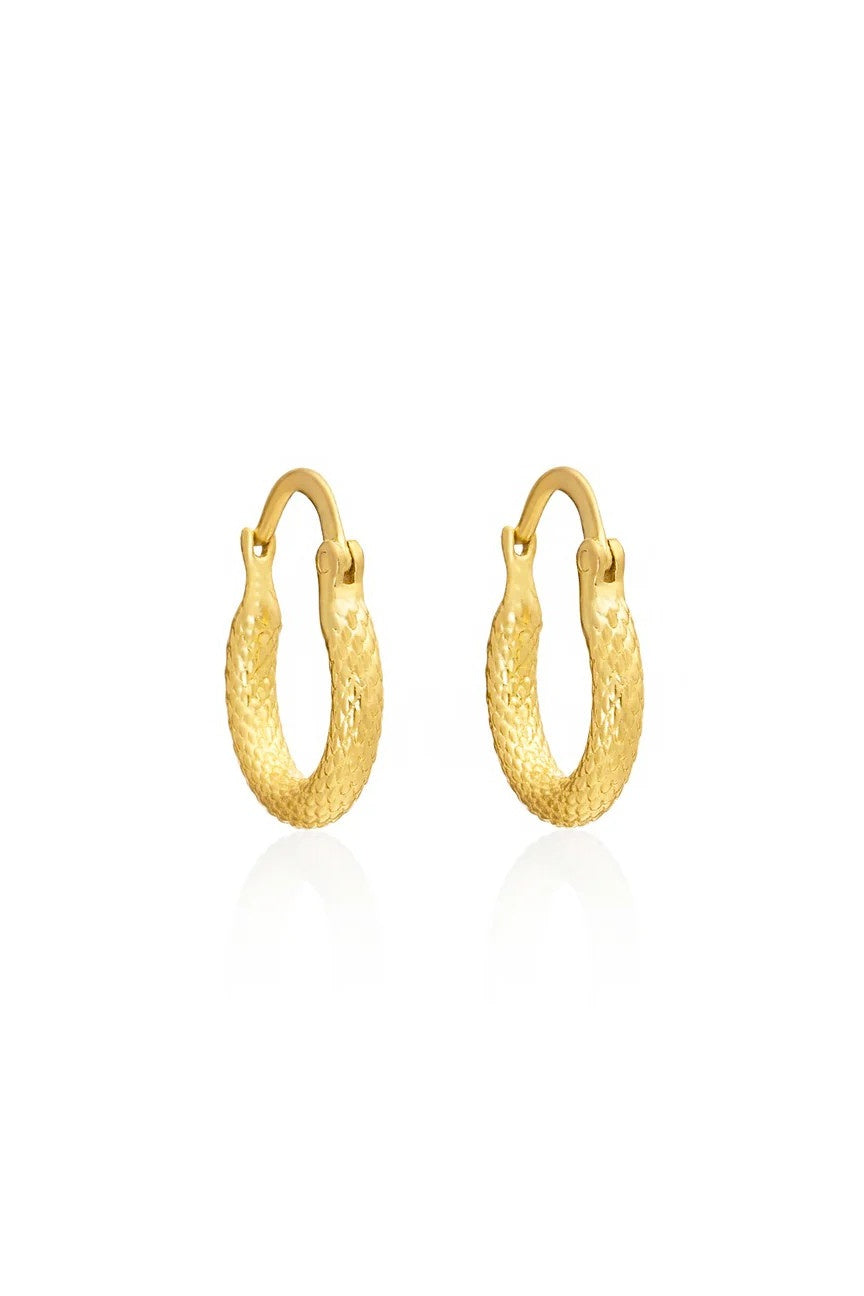 gold hoop earrings on white background.