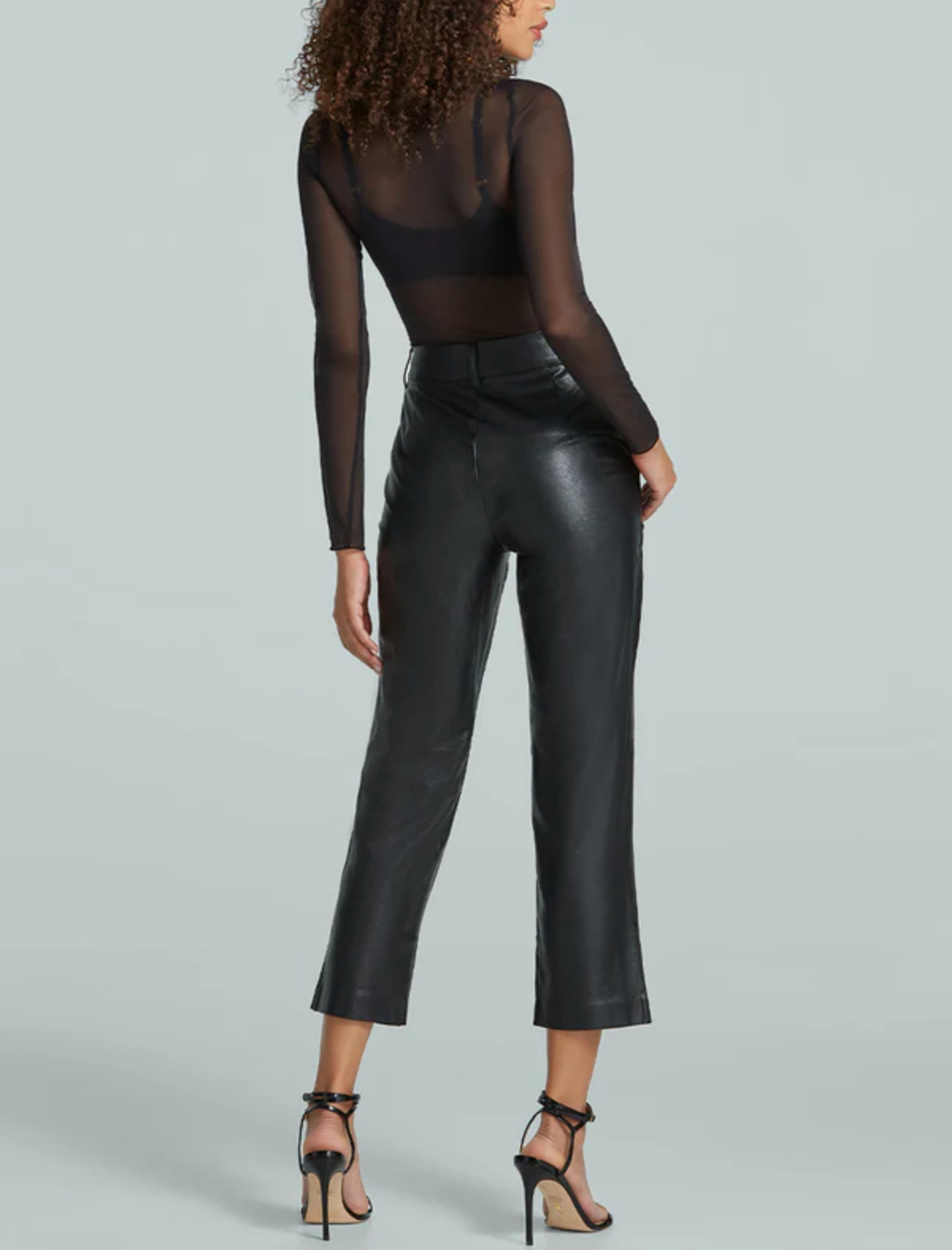 Chic Mesh Sheer Black Long-Sleeved Top