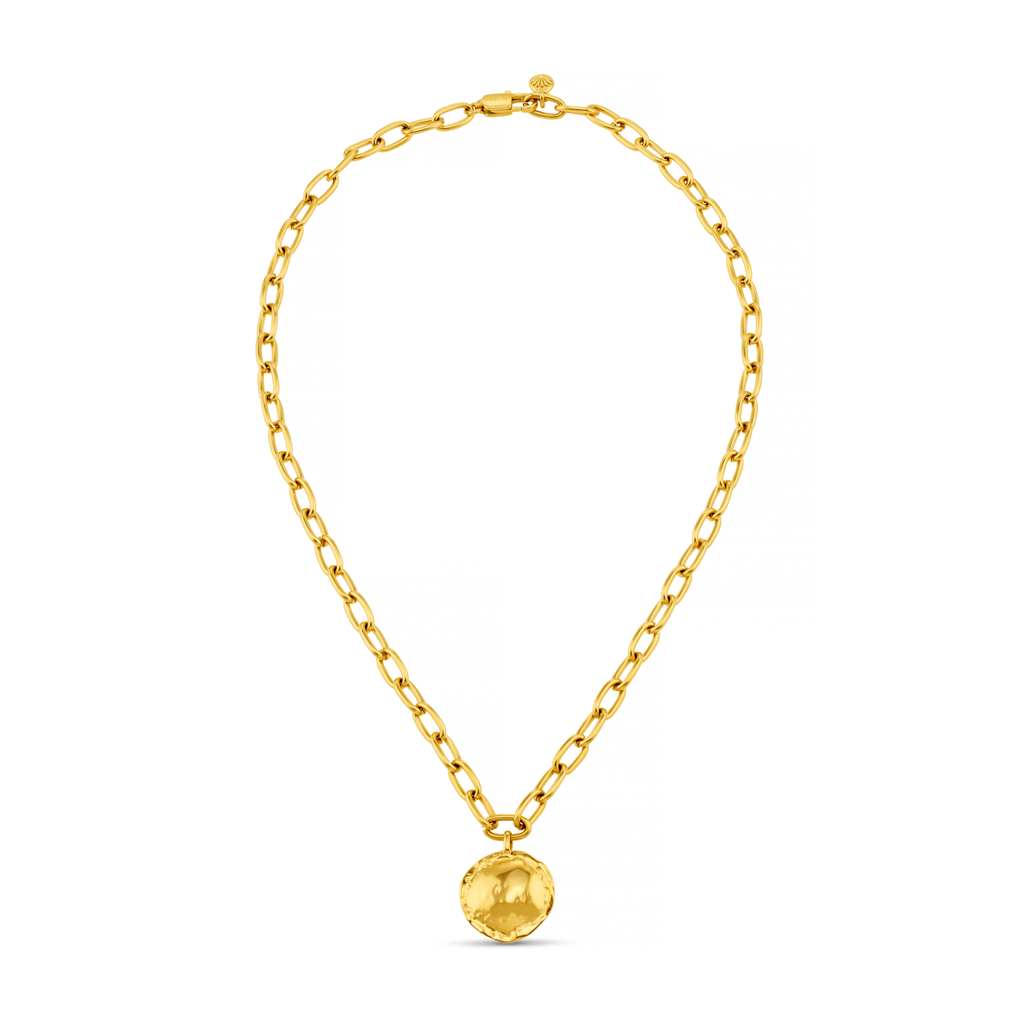 Oval Link & Molten Coin Necklace
